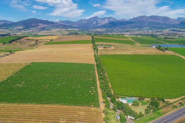 A landmark Export Farm of 123 hectares. Good soil and water. Water rights from the Berg River - registered for 95 hectares.
Strategic ...