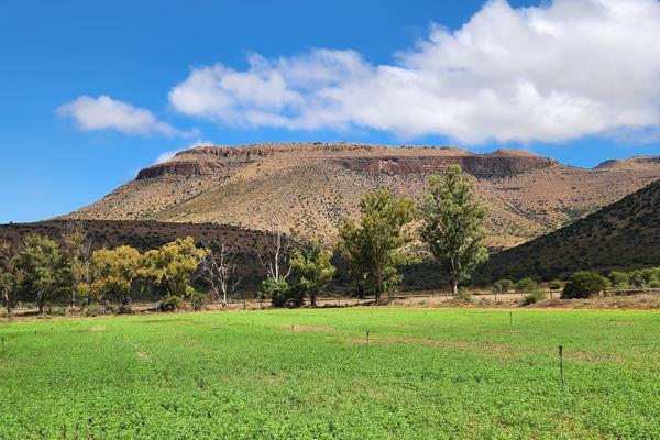 Karoo farm in a sought after area with excellent security, about 45km North-East of ...