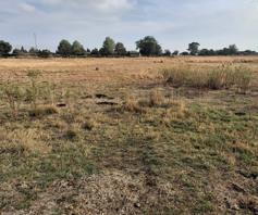 Vacant Land / Plot for sale in Eendracht