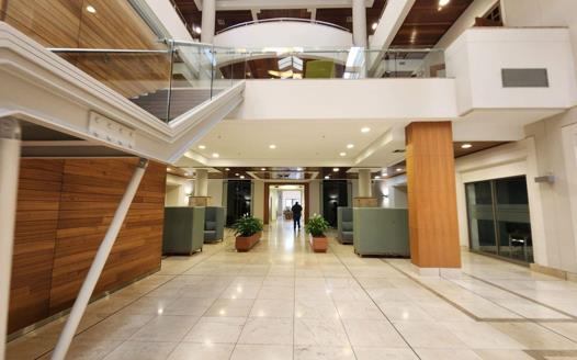 Commercial Property to rent in Rondebosch