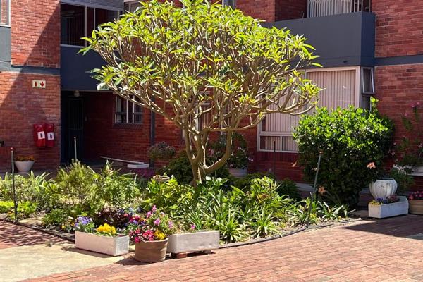 Conveniently located and close to Bergvliet Primary School and Meadowridge Park and Shop ...