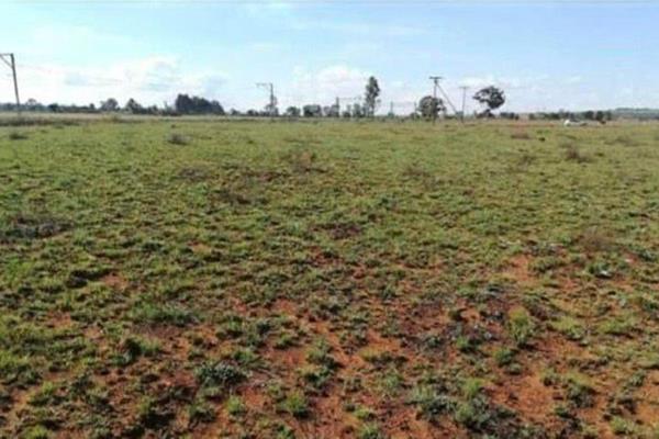 The 2.0-hectare open plot in Westonaria Rural is a picturesque piece of land that has been utilized for cultivating a variety of ...