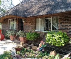 Farm for sale in Mokopane Rural