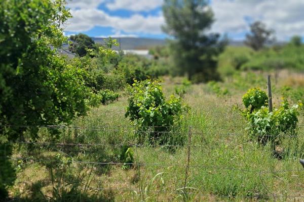 This is the right time and ideal opportunity to own your own piece of Karoo vacant plot.

More and more people are wanting to change ...