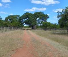 Farm for sale in Musina Rural