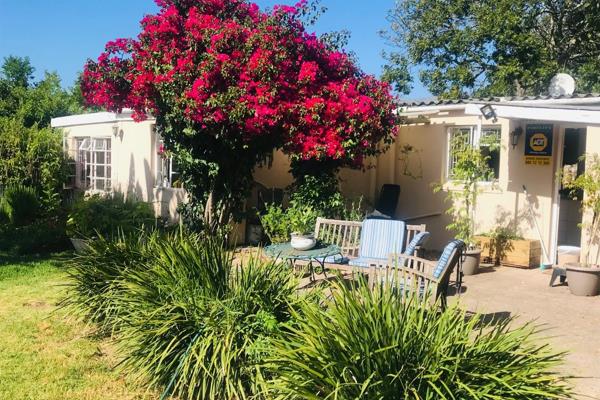 Beautiful farm cottage to share in Constantia. A gem of a property, surprisingly ...