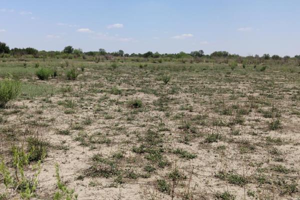 Koppies

Don&#39;t miss out this exceptional opportunity to secure a large tract of land
 
Financial Planning: 
R 1 600 000.00
+- ...