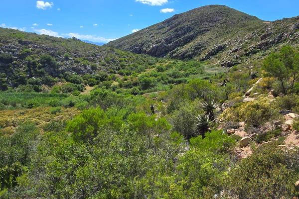 This breathtaking 375-hectare farm offers an exceptional opportunity to embrace the beauty of nature while creating a sustainable ...