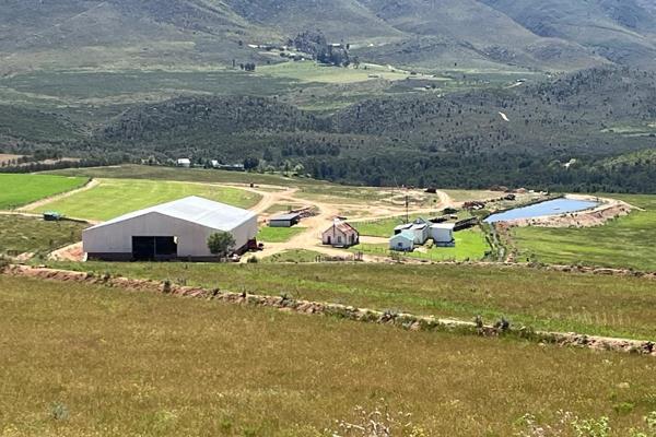 Experience this beautiful farm nestled between the majestic Outeniqua mountains in the south and showcasing a stunning valley portion ...