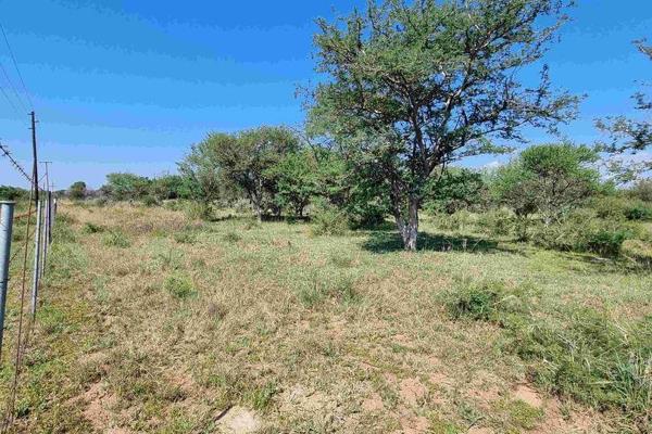 Vacant 8.5ha Smallholding in the Bushveld. Approximately 55km form Bela-Bela on the R516 towards Thabazimbi.
Fully Fenced.
2 Boreholes ...