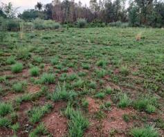 Vacant Land / Plot for sale in Meyerton Central