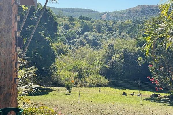 Merely 8km from Nelspruit out on the Kaapshe Hoop road will you find this rare gems.  Surrounded by hundreds of years old trees you ...