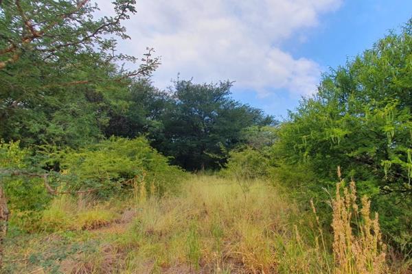 Well located full title stand at maroela estate, naboomspruit!!!
1036 Square meter stand
Great future development in the ...