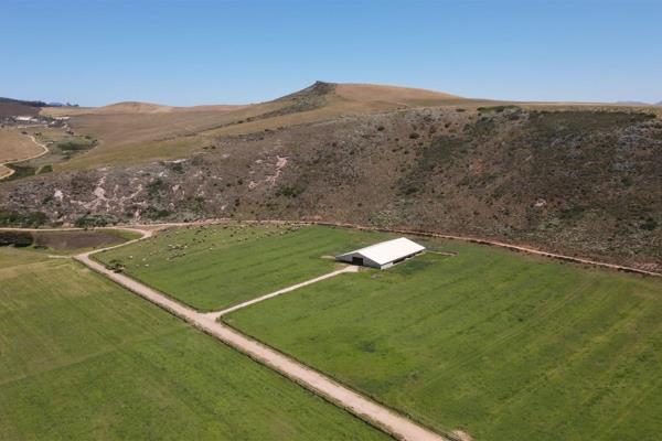 Situated in the breathtaking and serene expanse of the Western Cape, this remarkable 245-hectare farm is perfectly positioned at the ...