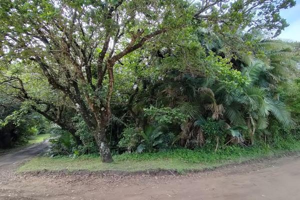 What an opportunity! This beautiful, lush stand is not only situated primarily on a ...