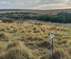 Vacant Land / Plot for sale in Clarens