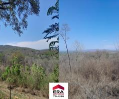 Farm for sale in Tzaneen Rural