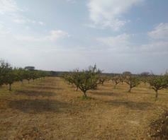 Farm for sale in Bultfontein AH