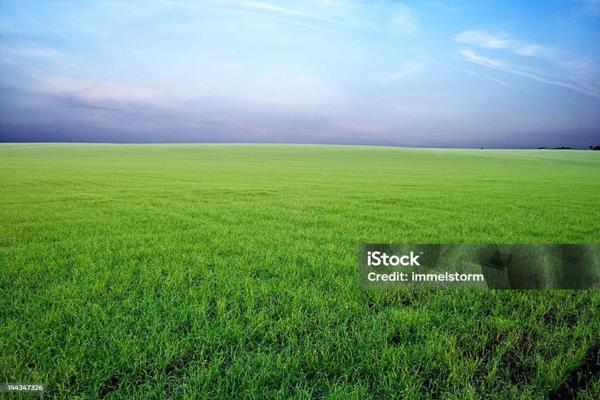 8.5653 ha Vacant land for Sale in Thearent
Discover the perfect investment opportunity. ...