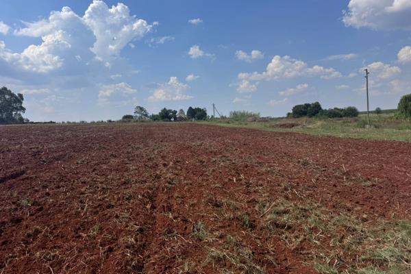 Unlock your agricultural potential with this expansive 5.6-hectare plot of prime, deforested soil, ready to bring your farming dreams ...