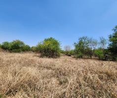 Vacant Land / Plot for sale in Kameeldrift East