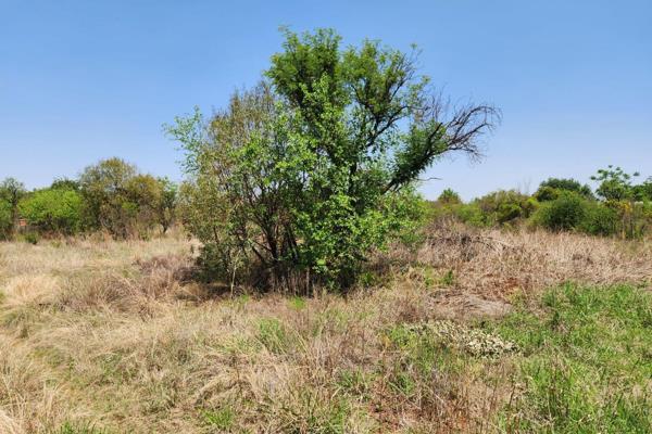 1 HA plot
*Unserviced. No water &amp; electricity connection point at stand. Can drill for borehole and solar or connect from Tshwane ...