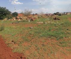 Vacant Land / Plot for sale in Nguni Section