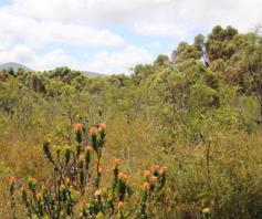 Farm for sale in Baardskeerdersbos