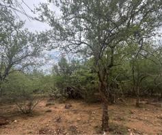 Vacant Land / Plot for sale in Marloth Park