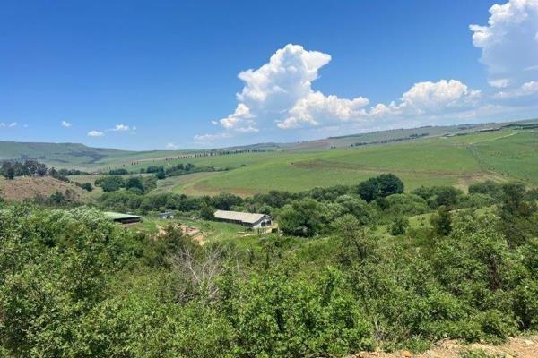 FARM FOR SALE IN MOOI RIVER – A RARE OPPORTUNITY BY CAMPBELL PROPERTY GROUP

We are delighted to present this exceptional agricultural ...