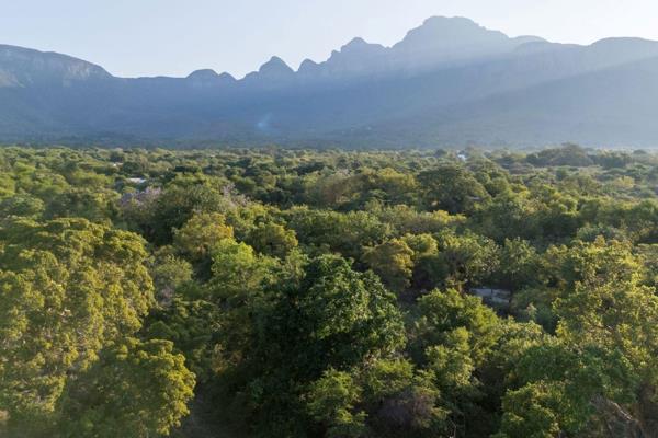 This Undeveloped property enjoys a newly drilled borehole, fantastic trees, incredible mountain views and a seasonal creak. Situated ...