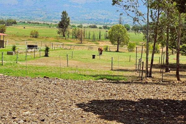 Embrace the perfect mixed farmstead lifestyle! This property offers a 1-hectare natural dam, 7 paddocks, 18 wooden stables, and ...