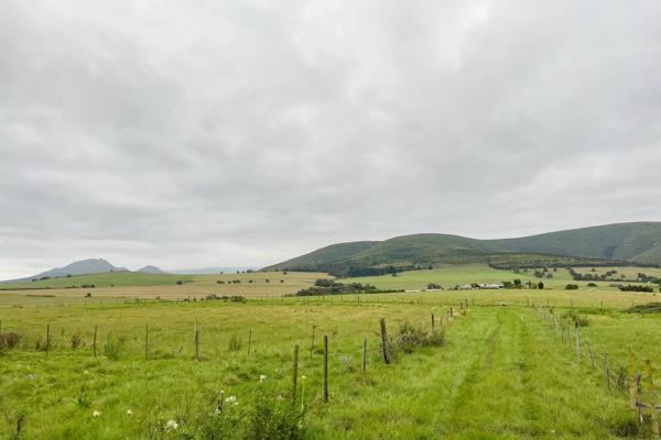 Nestled at the foothills of the majestic Outeniqua Mountains, this 85-hectare farm in ...