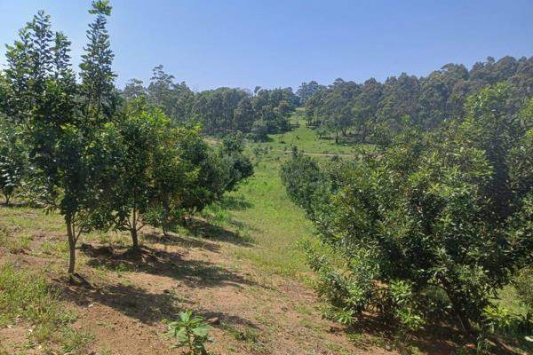 This lovely macadamia farm is the perfect size for someone seeking the peaceful farm life but not wanting anything too large.  There ...