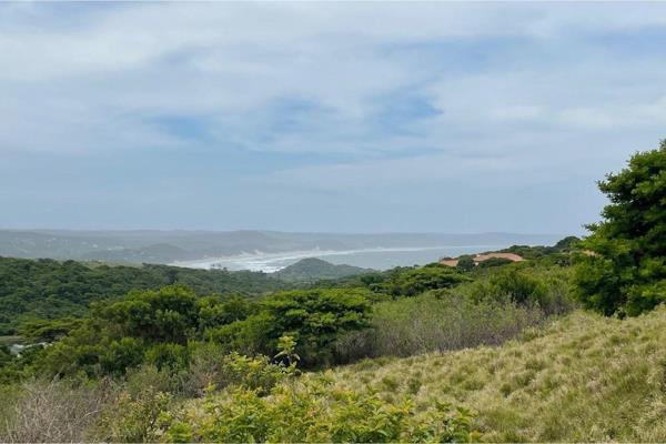 Experience a unique investment opportunity atKhamanga Bay, where serene country living meets the beauty of the South African coastline. ...