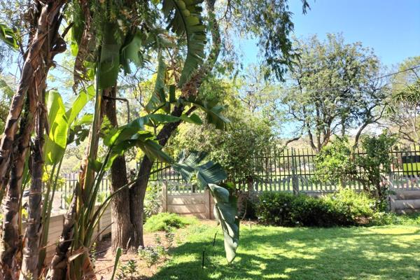 This house is where a loving family lived for just under 25 years!
Growing up, the children played cowboys and crooks and adventure ...