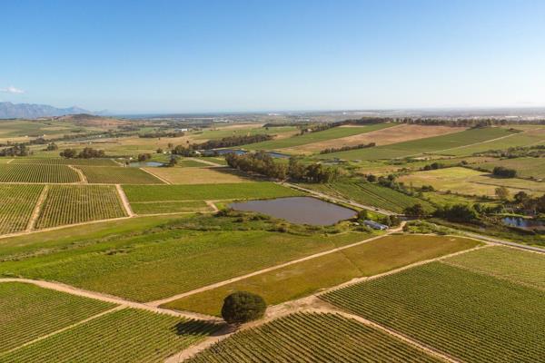 92ha Fully operational Wine Production Farm

This 88ha wine farm is sold as a Going Concern with all equipment included. 
The farm ...