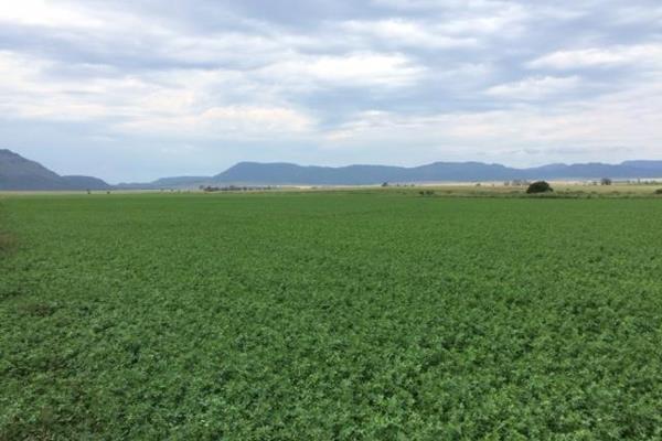 A pristine mixed-use farm right on the Swartkei River. Water rights to the river ensure sufficient irrigation.
Perfect for cattle ...