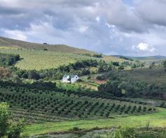 Farm for sale in Heidelberg