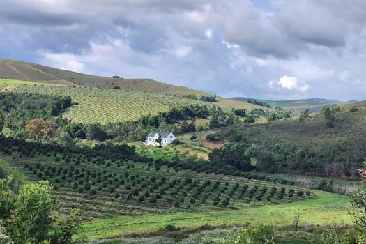 Farm for sale in Heidelberg