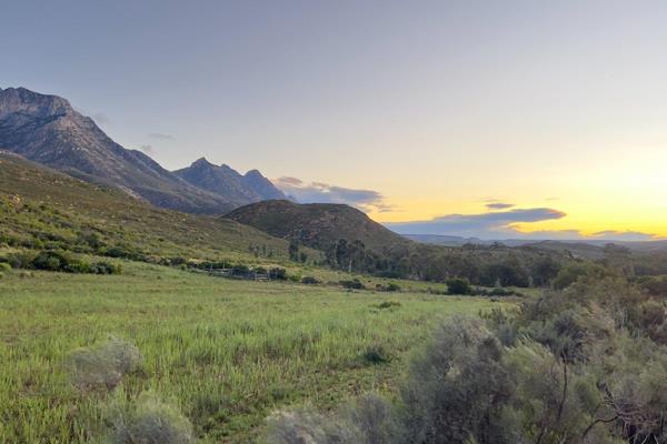 SOLE MANDATE:
This farm of 68 ha is situated next to the R 327 road between Van ...