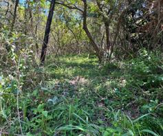 Vacant Land / Plot for sale in Palm Beach