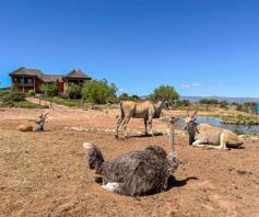 Farm for sale in Oudtshoorn Rural