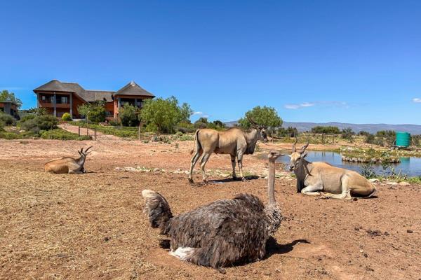 Set in the rugged beauty of Oudtshoorn’s Karoo landscape, this exceptional game farm is ...