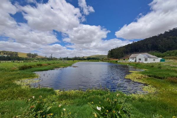 Located between the historic towns of Swellendam and Ashton, this idyllic 10.5 ha smallholding offers a slice of paradise in the ...