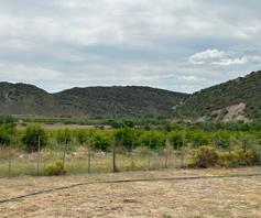 Farm for sale in Oudtshoorn Rural