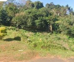 Vacant Land / Plot for sale in Isipingo Hills