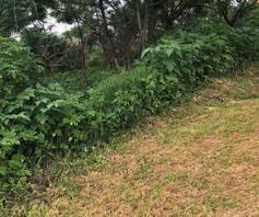 Vacant Land / Plot for sale in Clermont