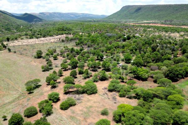 This stunning 80-hectare bush veld farm, nestled in the Loskopdam Valley, is an exceptional property with two river fronts, three large ...