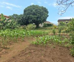 Vacant Land / Plot for sale in Riet River